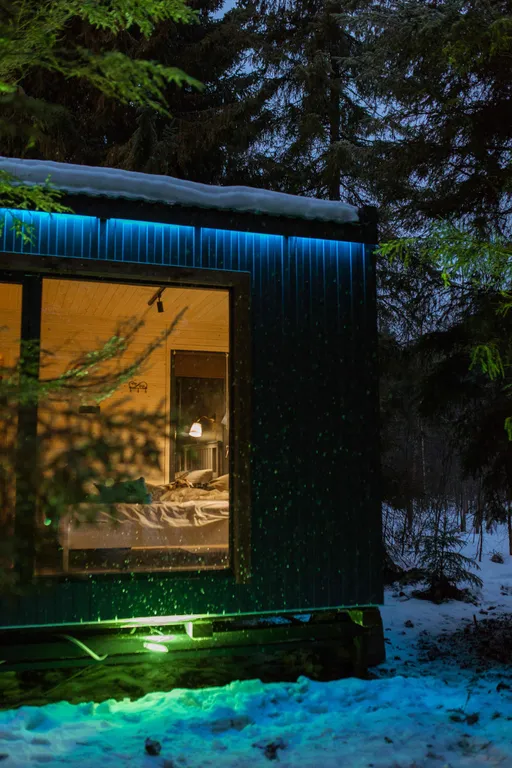 Коттедж Дом с панорамными окнами в лесу — Ломоносов