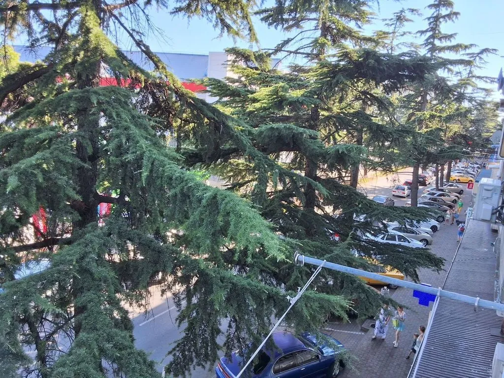 Квартира в центре города