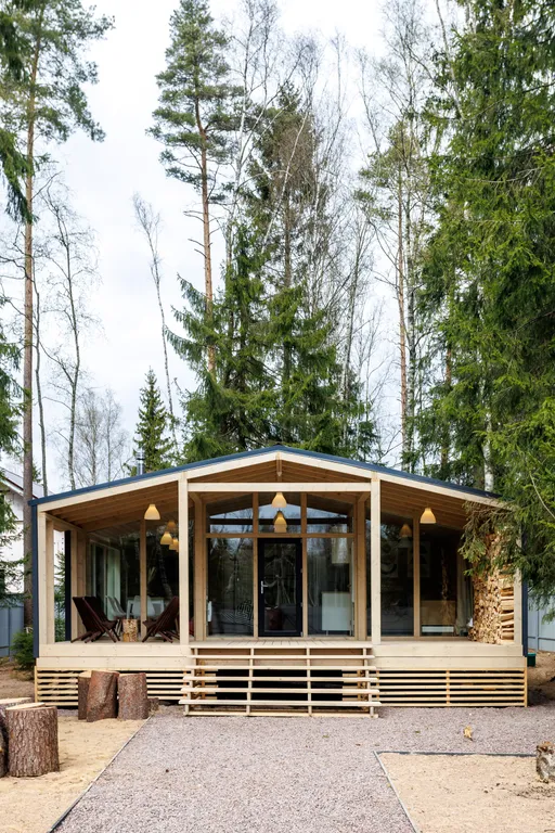 Красивый дом в ёлках