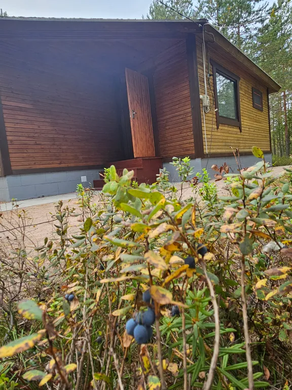 Ильинка в Карелии