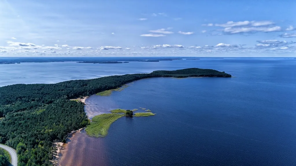 Сосновое шале на берегу Сямозера