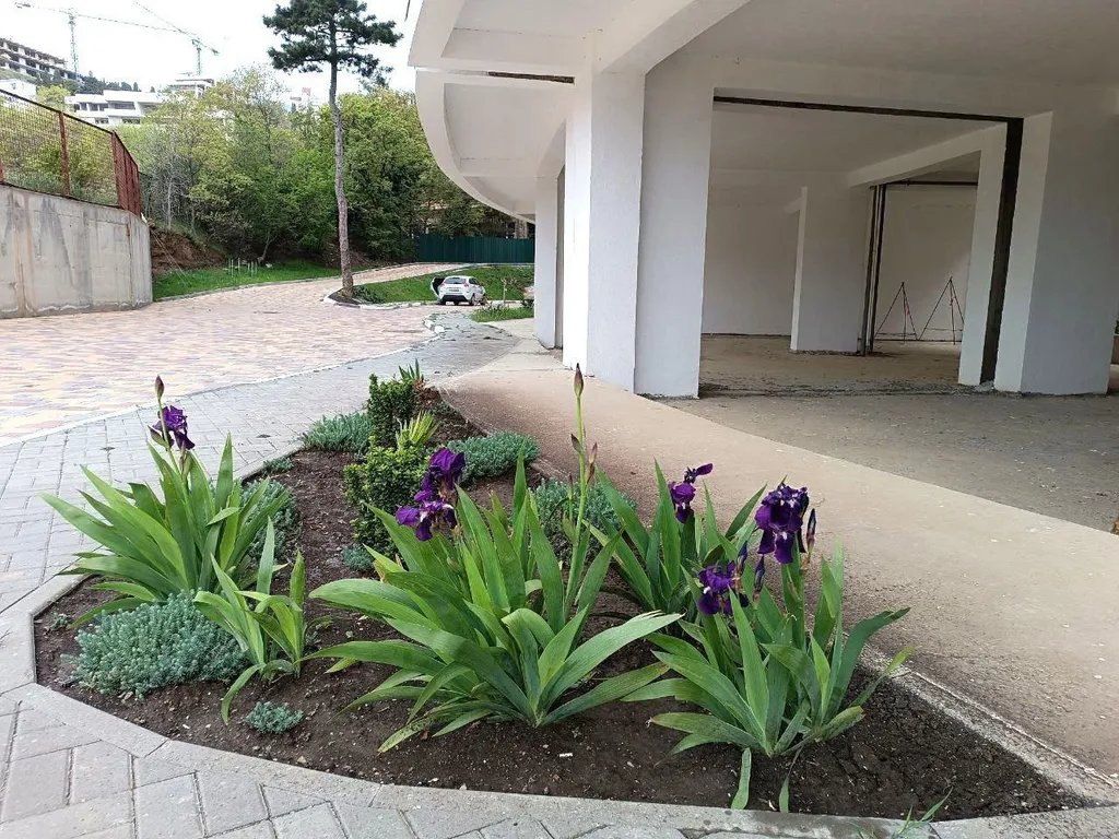 Изысканные апартаменты у моря Аура