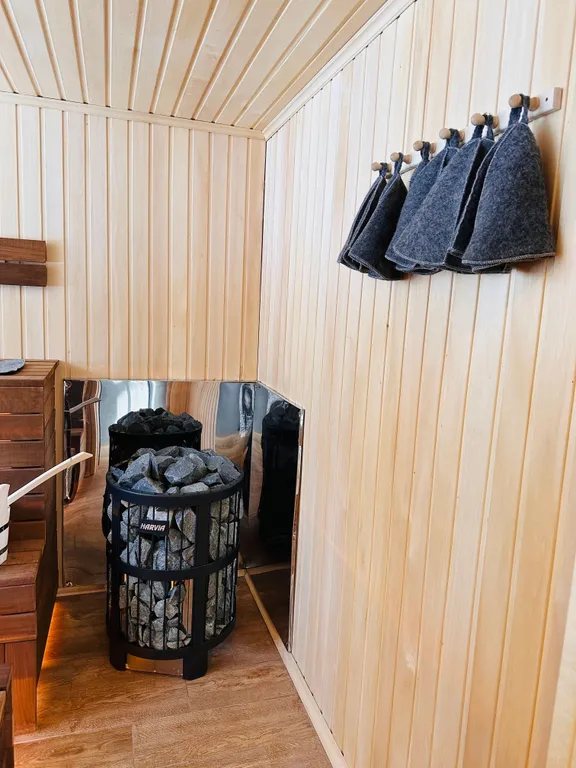 Дом с баней и банным чаном на краю соснового леса