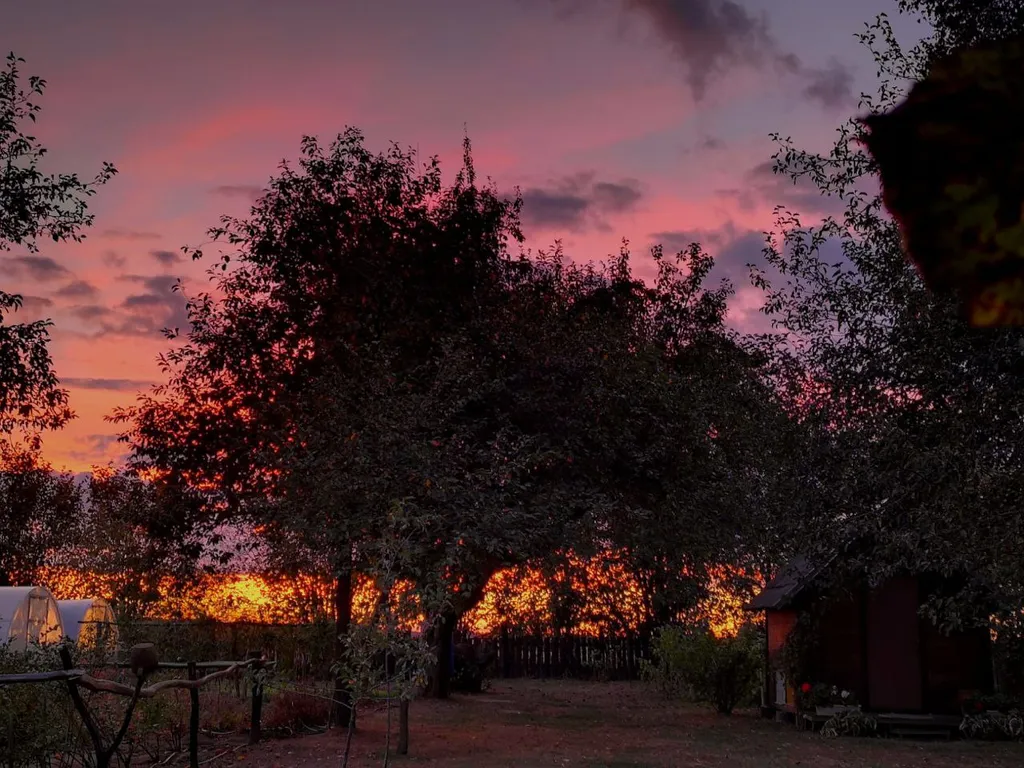 Агроусадьба в хуторской тиши с камином, сеновалом и сном на пчелах