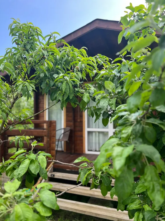 Коттедж Уютный домик с приусадебным участком — Гагра