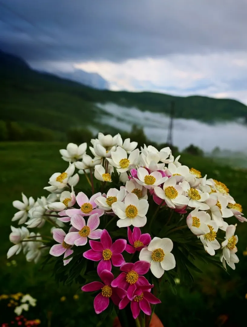 Фото