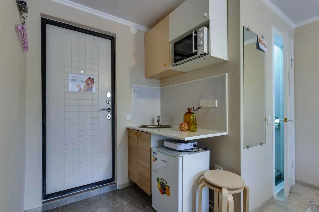 Студия с мини-кухней и собственным санузлом