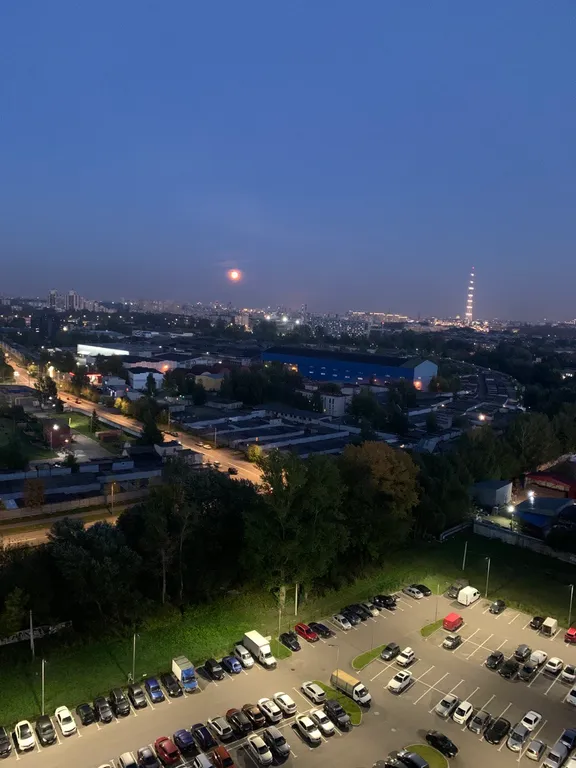 Видовая квартира на Черной речке