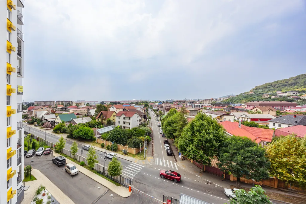 ЖК Фрукты Черника 8264