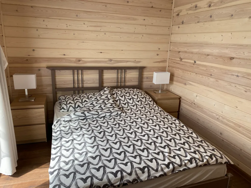 Карельский скандидомик с сауной