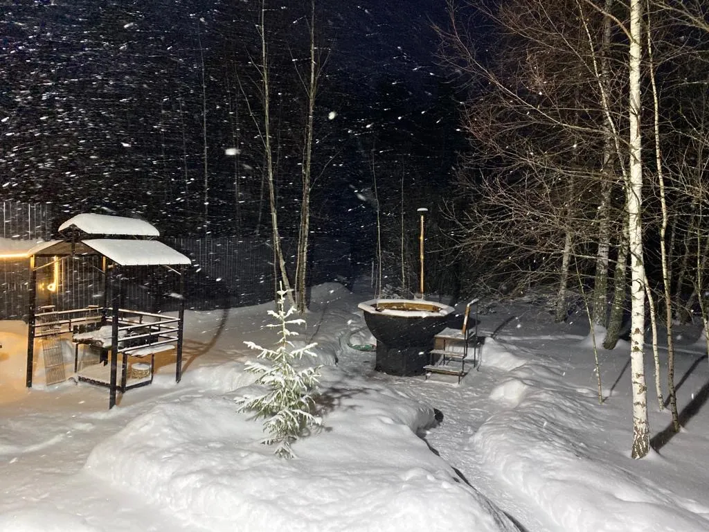 Домик с видом на лес