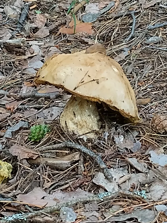 Дом на берегу Вышневолоцкого водохранилища