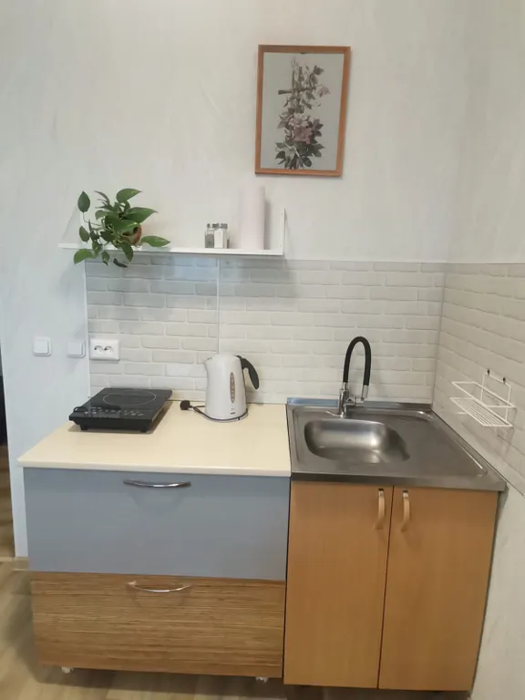 Студия в Белых росах