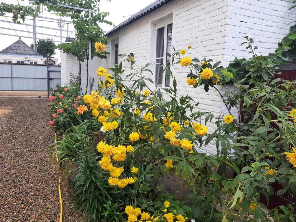 Уютный домик