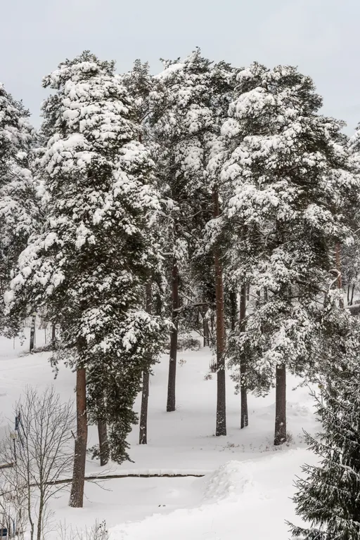 Морская студия