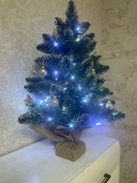 2-комнатная квартира в центре города