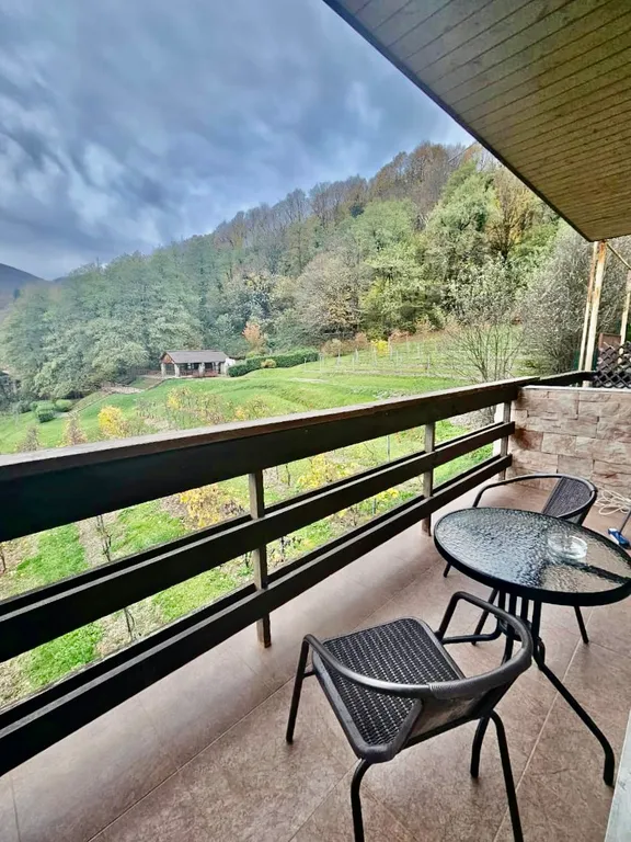 Апартаменты с видом на виноградники номер 5