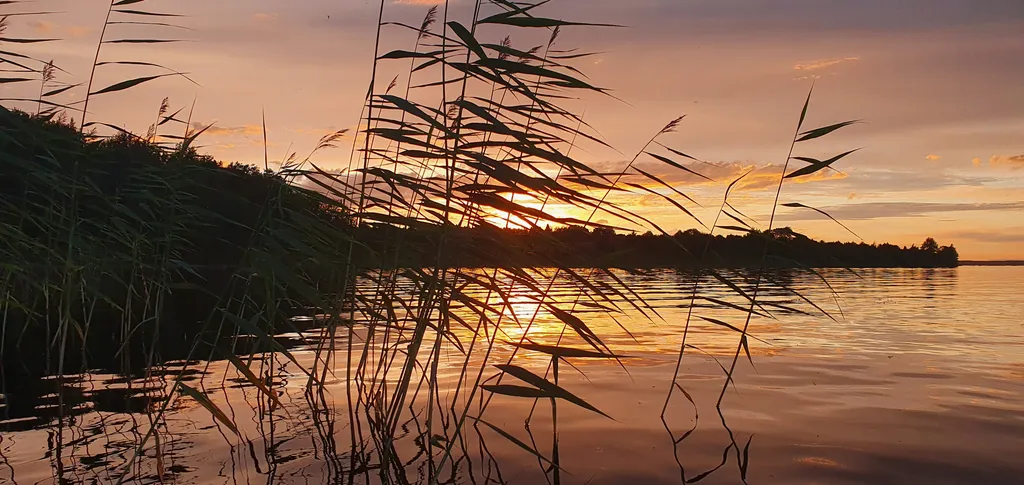 Дом c террасой