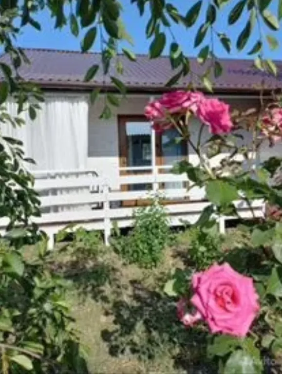 Коттедж Домик у черного моря — аренда посуточно в Благовещенская