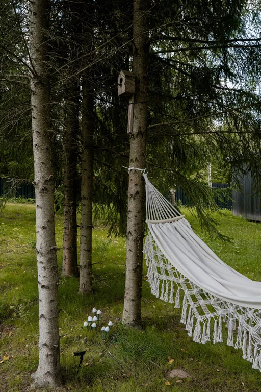 Уютный дом с сауной в лесу