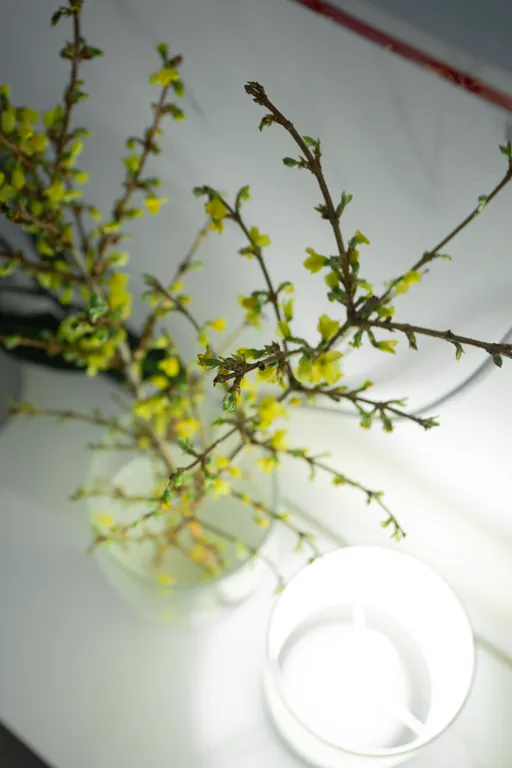 Квартира Квартира в центре у Мариинки с проектором и кофемашиной — Санкт-Петербург