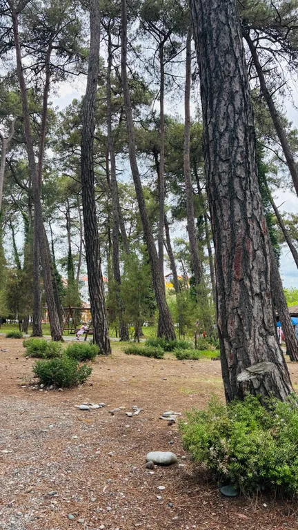 Дом-шалаш с собственной кухней Лдзаа