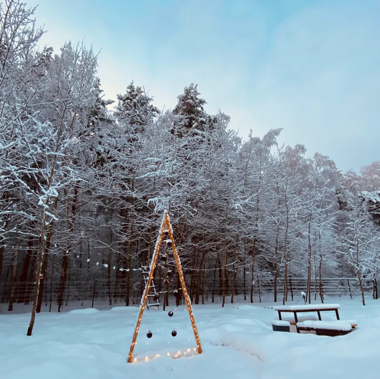Коттедж Коттедж Барнхаус в Яхонтовом лесу — Ногинск