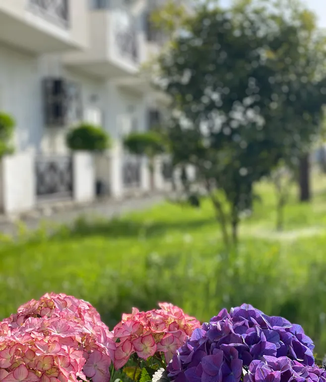 Коттедж с бассейном