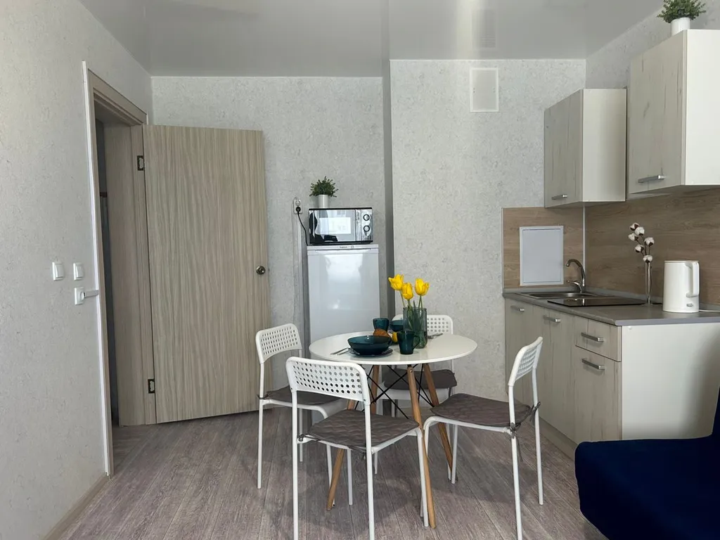 Комфортабельная, уютная студия