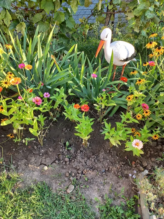 Двухэтажный коттедж "Мидия"