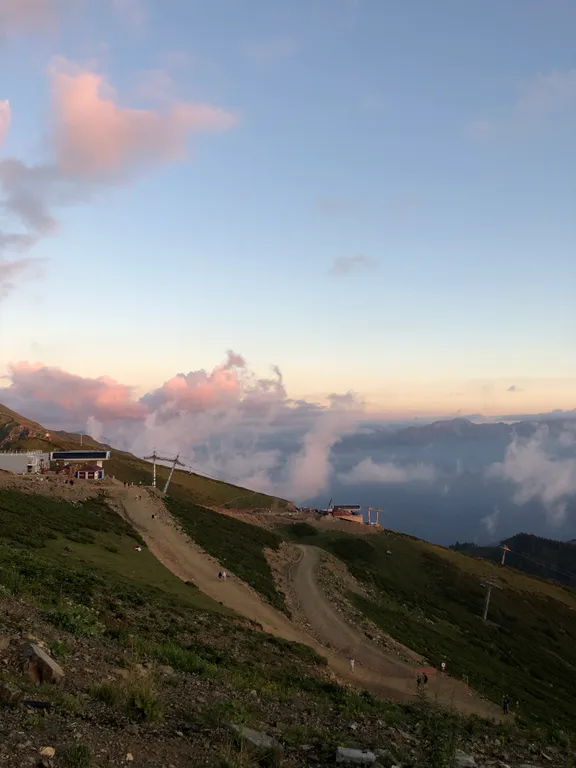 Квартира Уютная квартира с видом в парк — Сириус