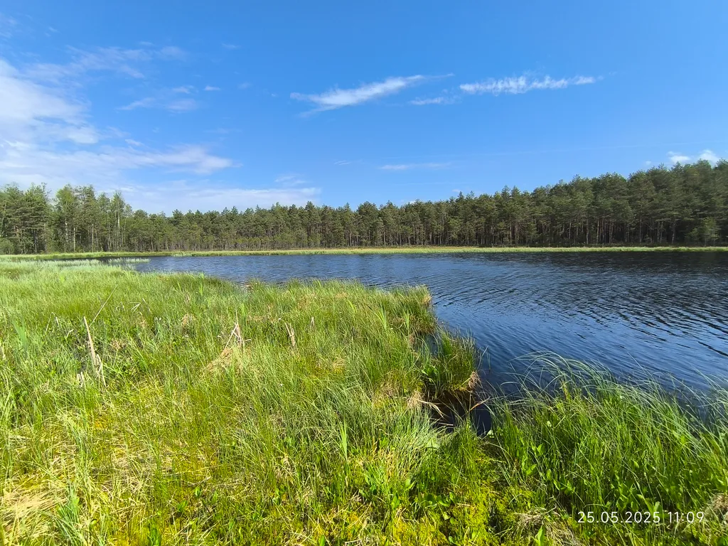 Дом на берегу с видом на Селигер