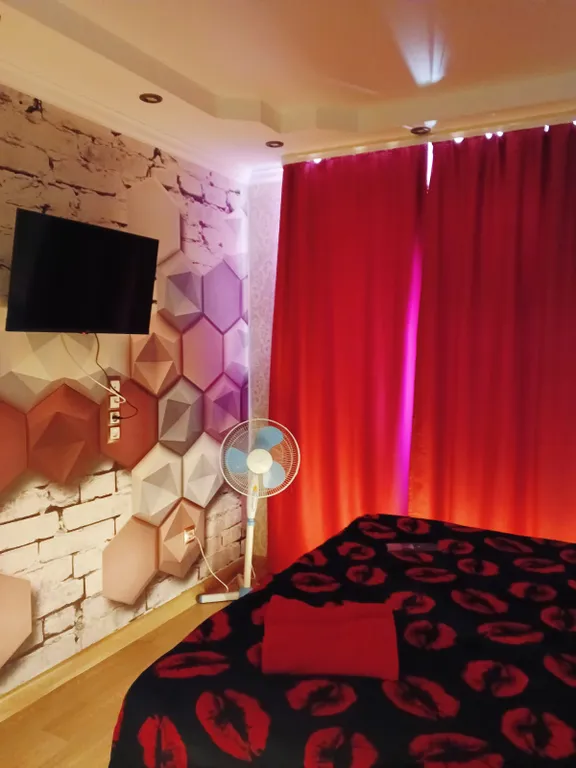 Уютная студия с видом на сосновый бор