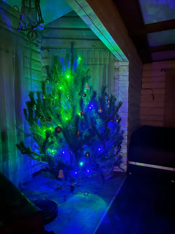 Уютный дом в лесу