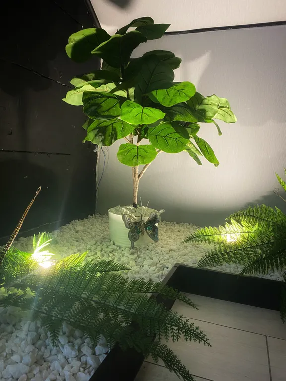 Дизайнерский дом с сауной и джакузи