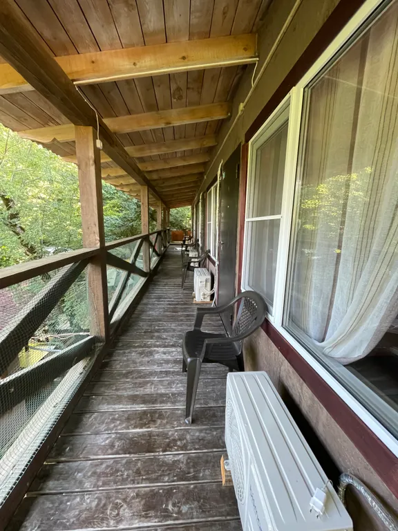 Номер с видом на лес