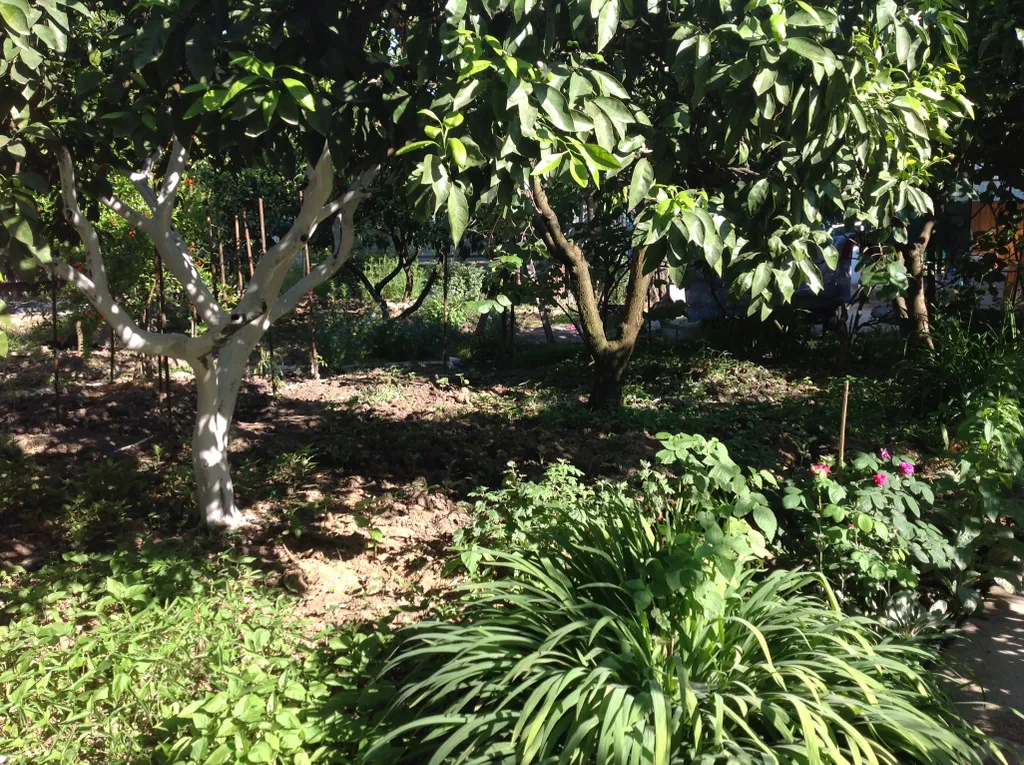 Квартира Комната — Гагра