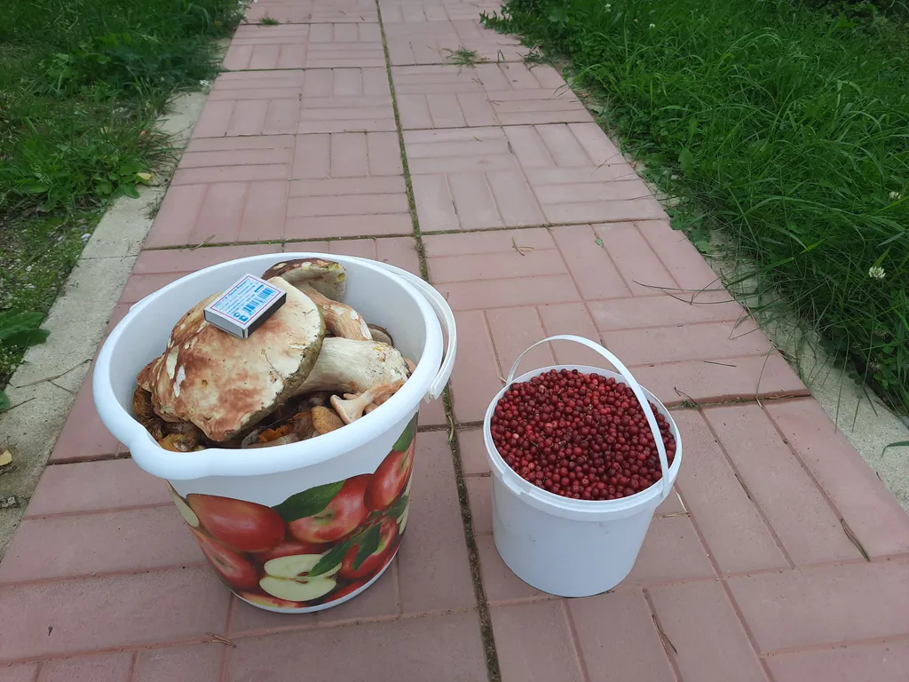 Коттедж Коттедж у озера в лесу — Луга