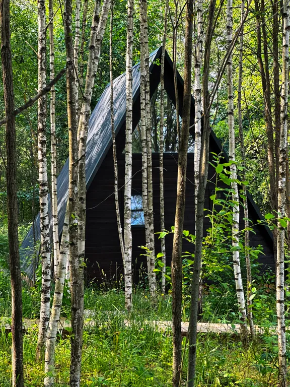 Коттедж Уютный дом с купелью — Александров