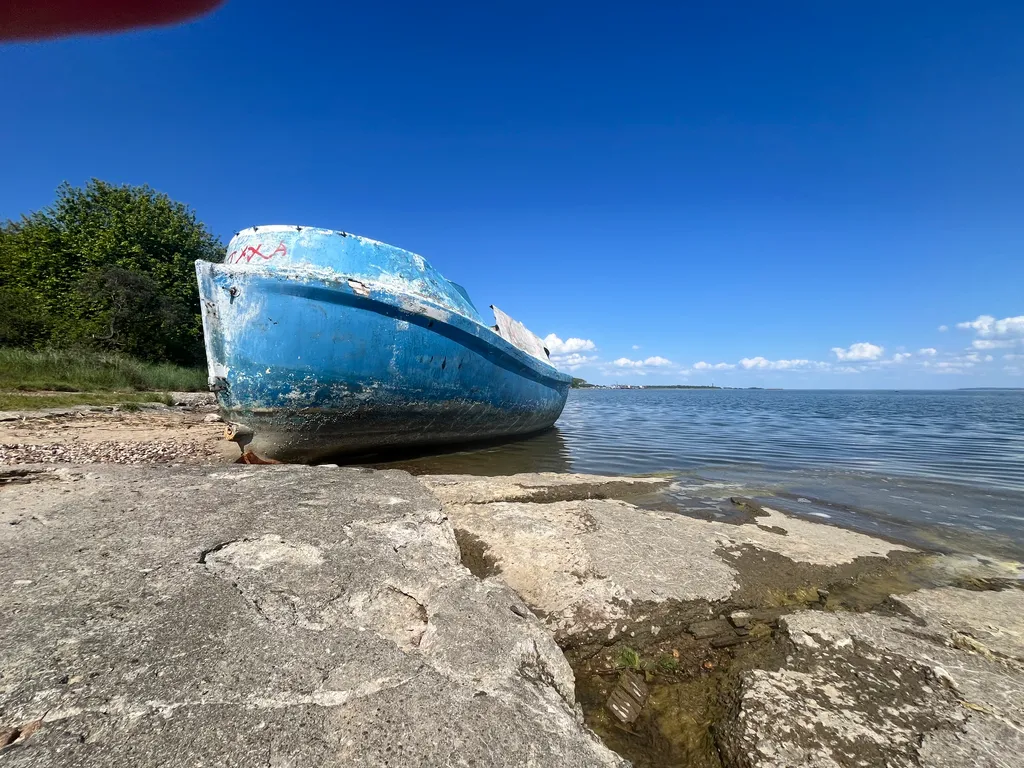 Уютный домик в сосновом бору на берегу моря