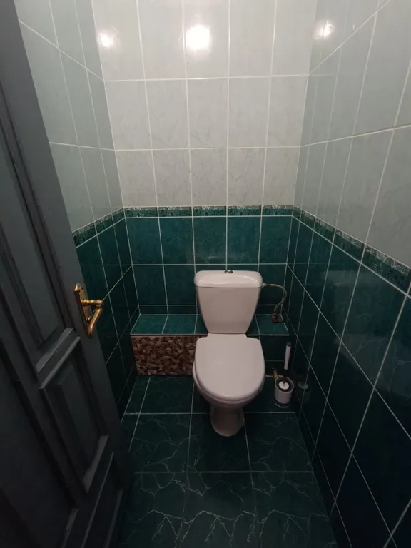 Дом с бассейном и баней