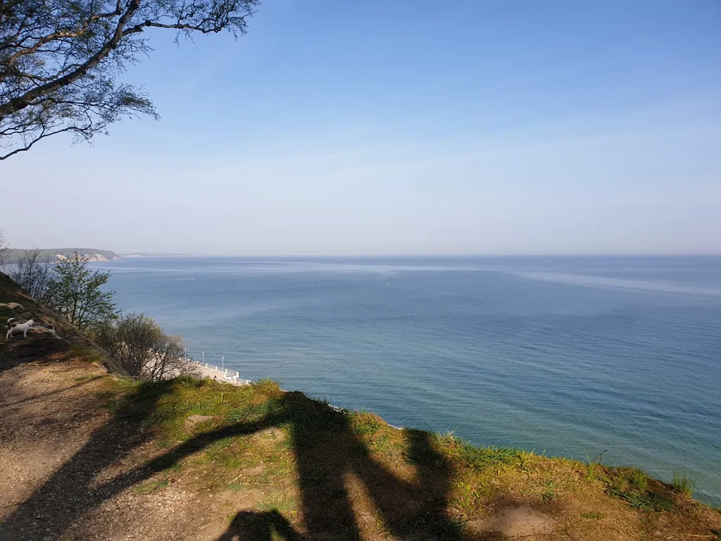 Уютные апартаменты у моря