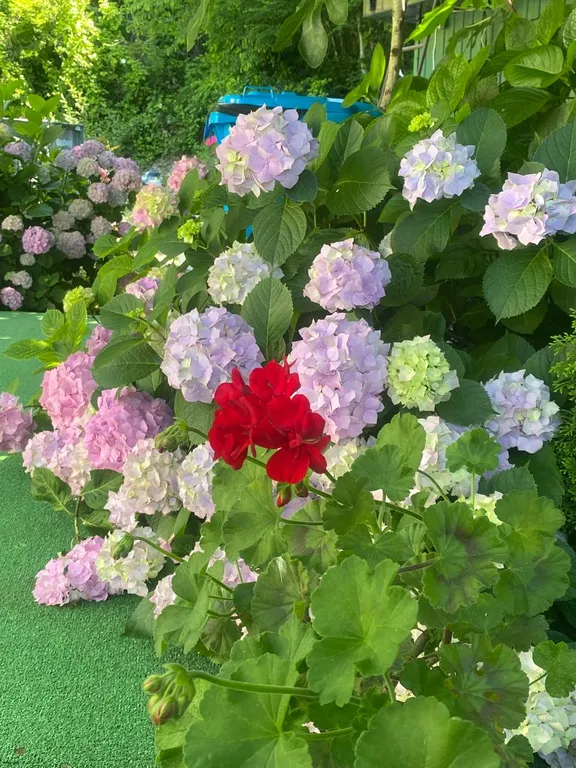 Дом в горах с видом на море