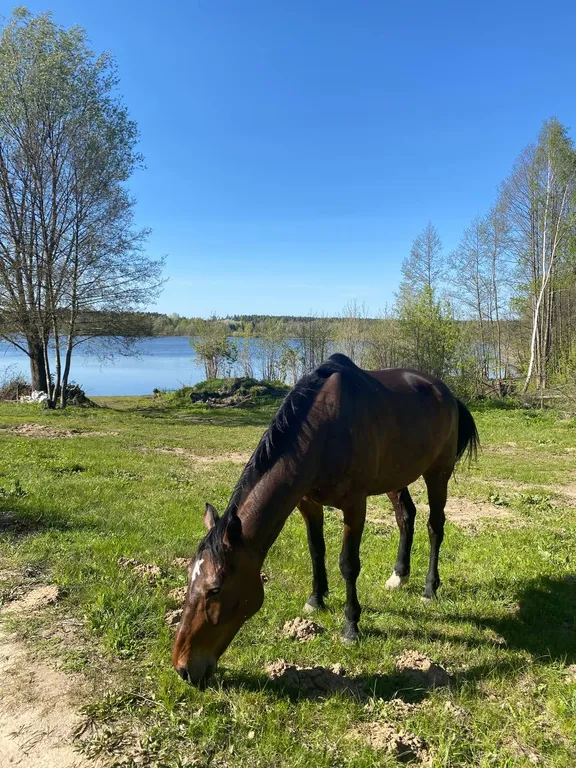 Для семей с детьми