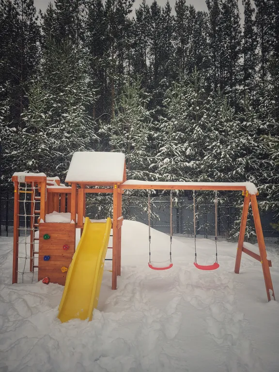 Дом в сосновом лесу