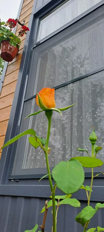 Глэмпинг у моря с трансфером и бассейном