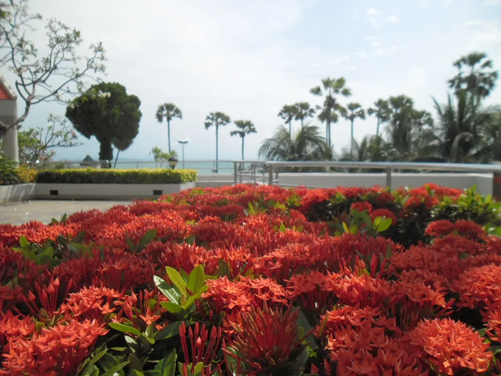 Студия с фронтальным видом на море