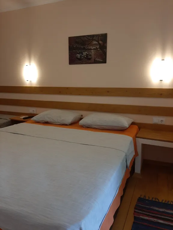 Кактус у моря