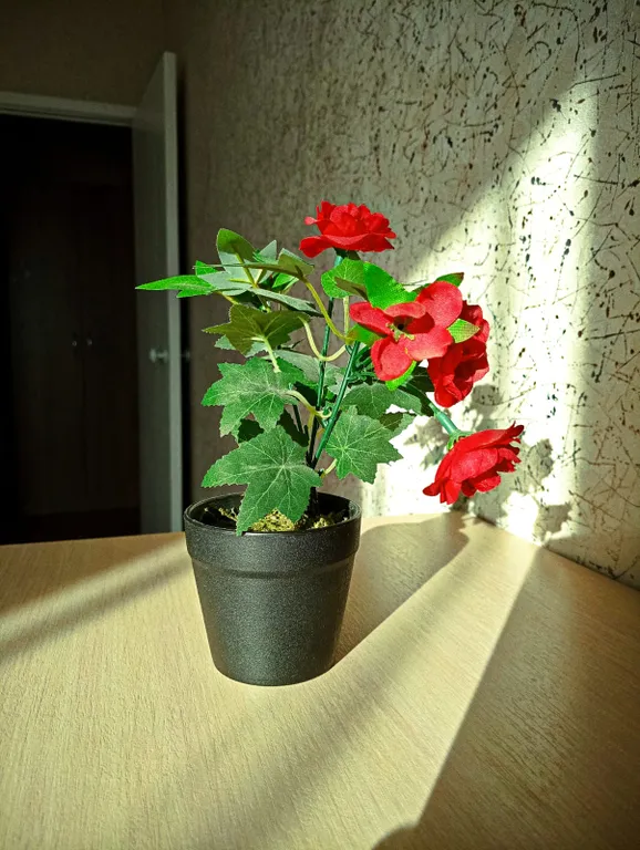 Уютная однокомнатная квартира