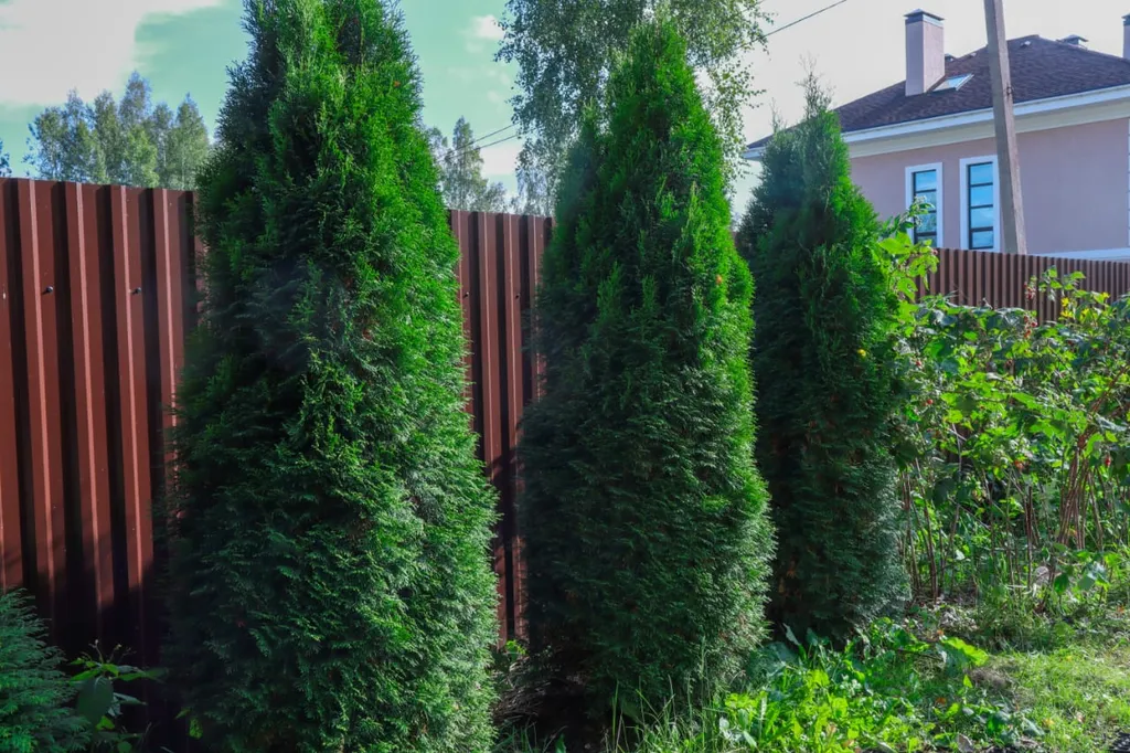 Спа-коттедж с купелью фурако и ик-сауной